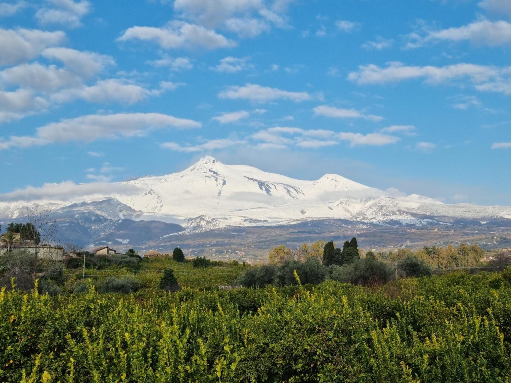Luxury Historic Residence With Heated Pool Near Catania, Taormina, The Sea And Mount Etna Giarre Bagian luar foto